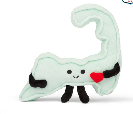 Cape Cod Stuffy